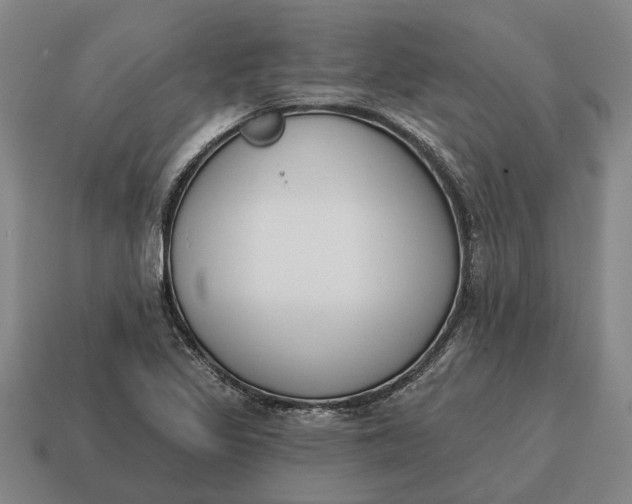 X0000115111317200911101557