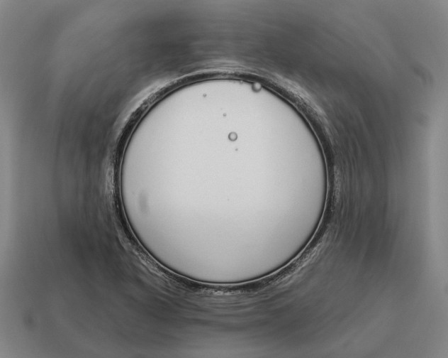 X0000115111318200911101557