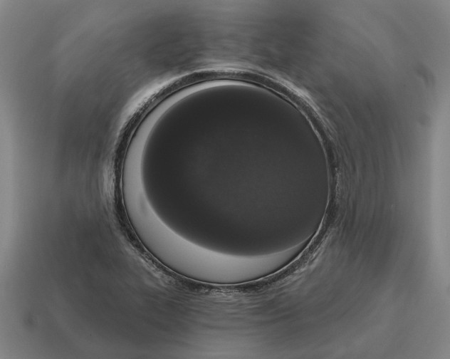 X0000115111319200911101557