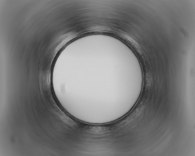 X0000115111322200911101557