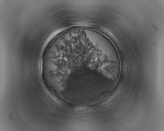 X0000115111323200911101557