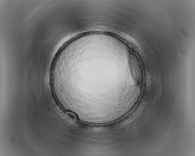 X0000115111326200911101557