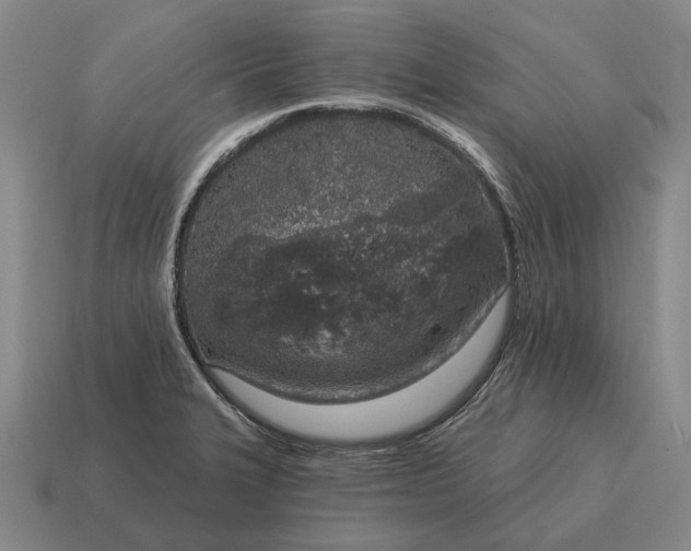 X0000115111327200911101557