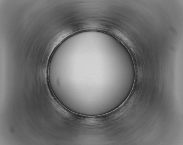 X0000115111330200911101557