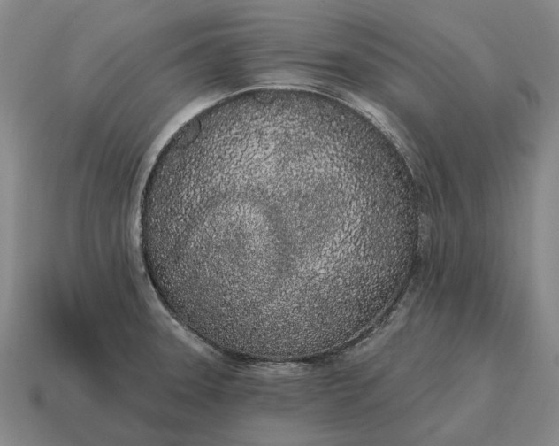 X0000115111331200911101557
