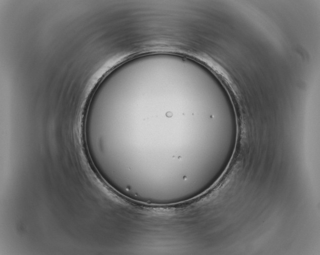 X0000115111333200911101557