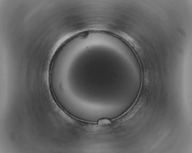 X0000115111334200911101557