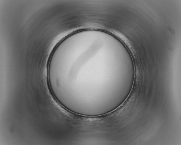 X0000115111335200911101557