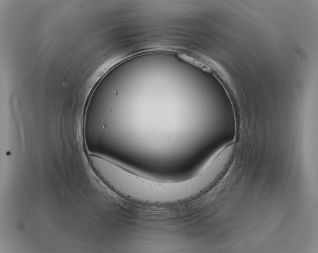 X0000115111338200911101557