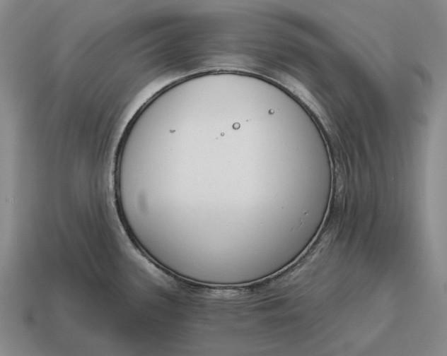 X0000115111339200911101557