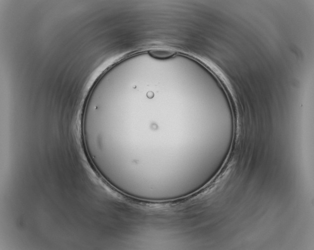 X0000115111341200911101557