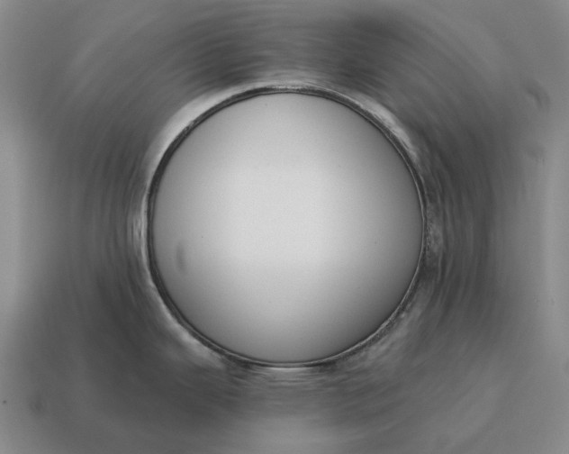 X0000115111343200911101557