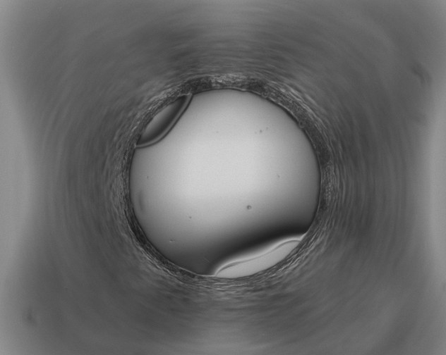X0000115111345200911101557