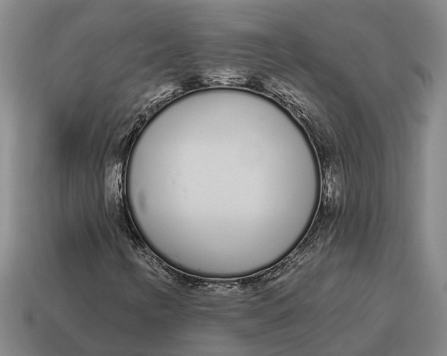 X0000115111346200911101557