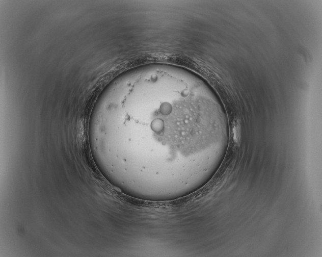 X0000115111347200911101557