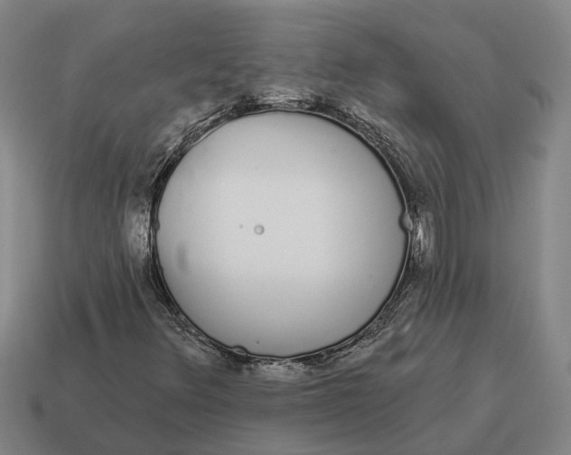 X0000115111348200911101557