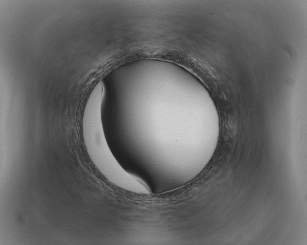 X0000115111349200911101557