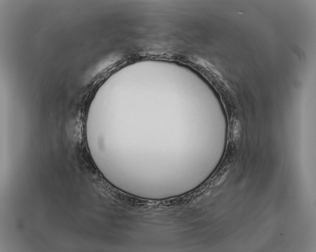 X0000115111350200911101557