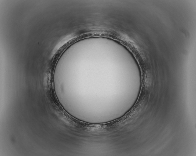 X0000115111352200911101557