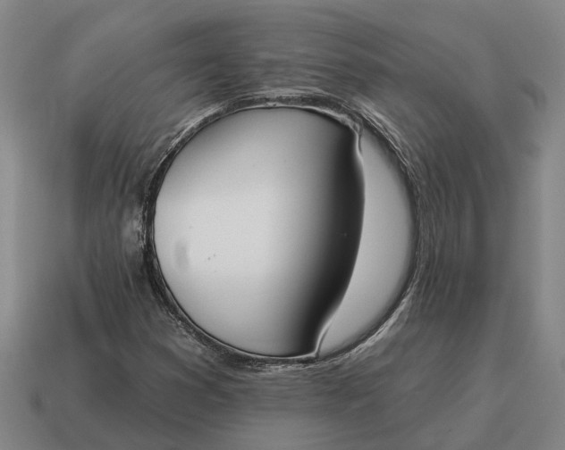 X0000115111353200911101557