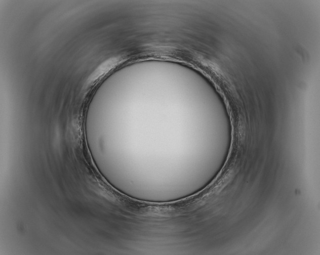 X0000115111354200911101557