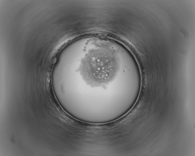 X0000115111355200911101557
