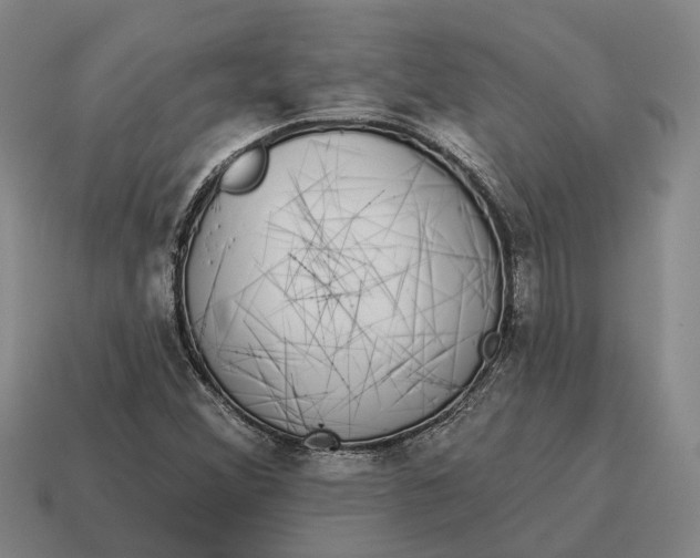 X0000115111356200911101557