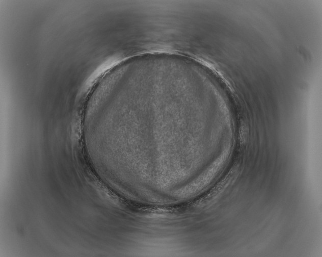 X0000115111359200911101557