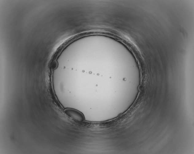 X0000115111360200911101556