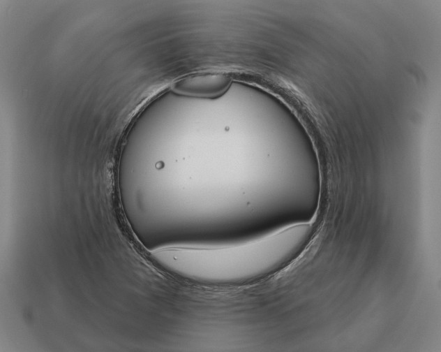 X0000115111361200911101556