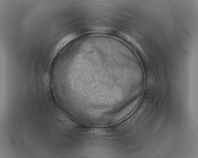 X0000115111362200911101556