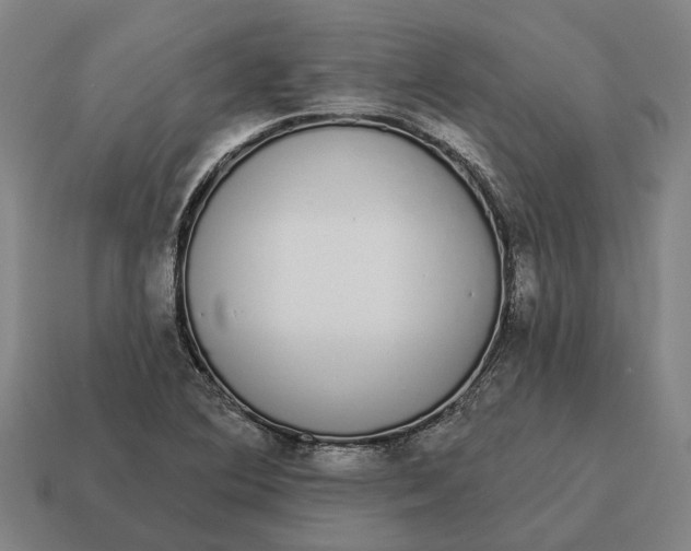 X0000115111364200911101556
