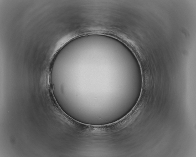X0000115111365200911101556