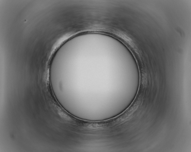 X0000115111366200911101556