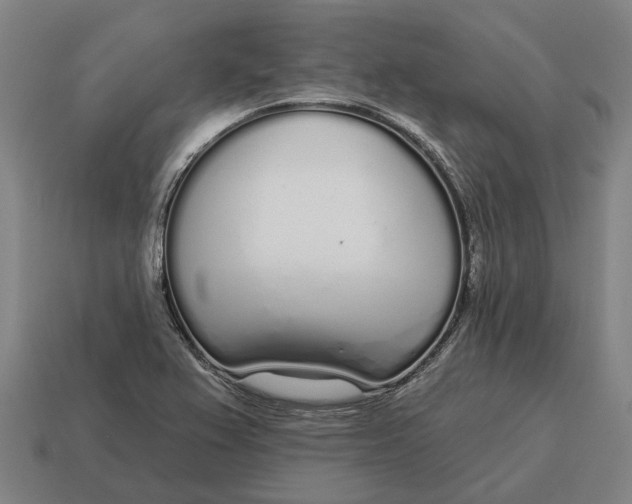 X0000115111367200911101556