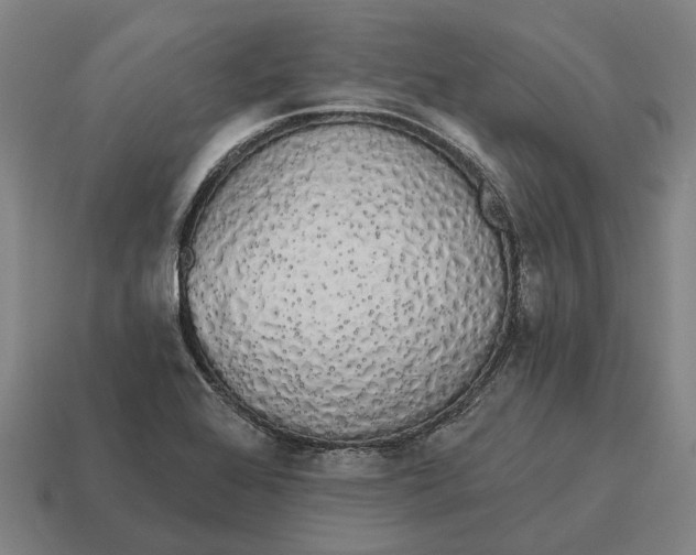 X0000115111368200911101556
