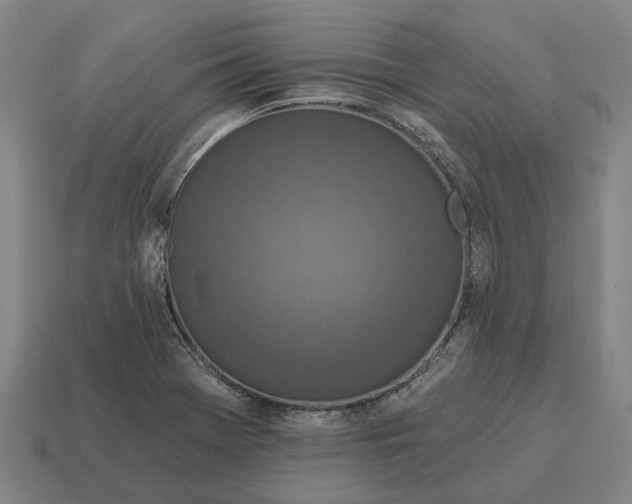 X0000115111369200911101556