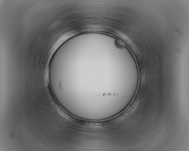 X0000115111370200911101556