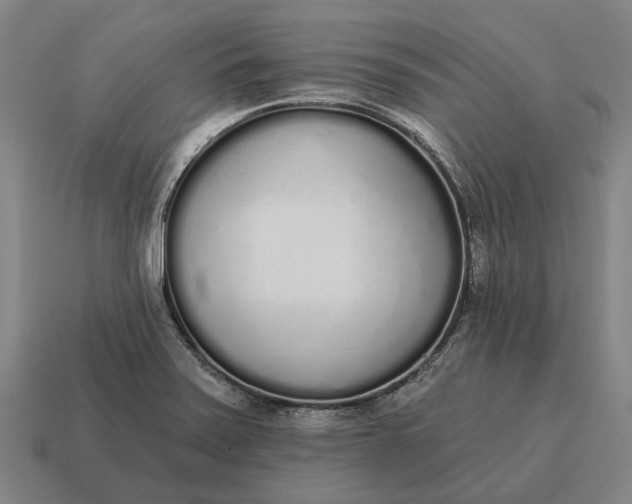 X0000115111371200911101556
