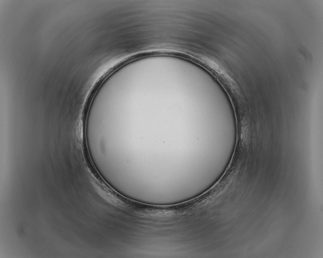 X0000115111372200911101556