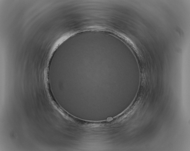 X0000115111373200911101556