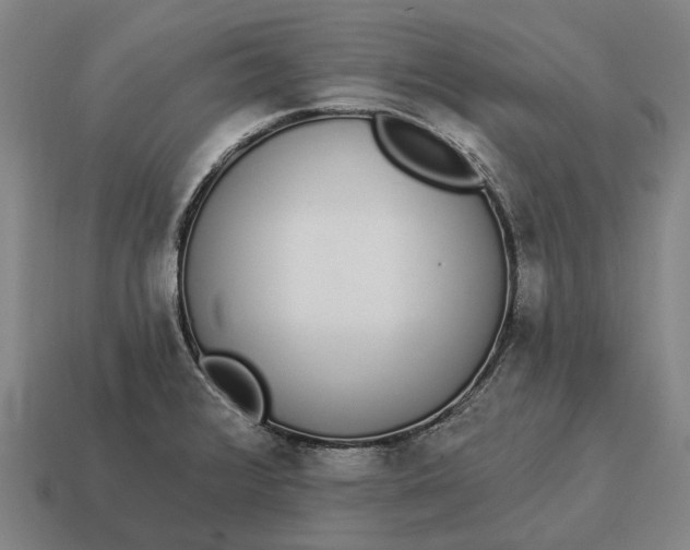 X0000115111376200911101556