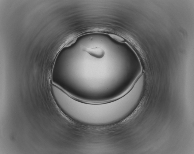 X0000115111377200911101556