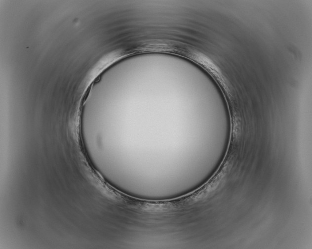 X0000115111378200911101556