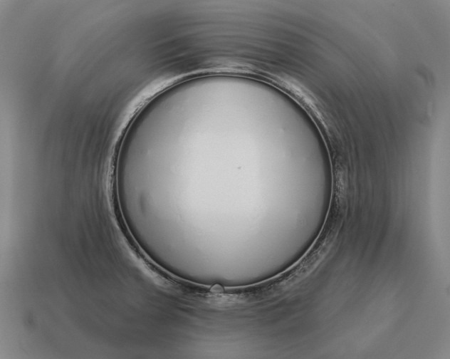 X0000115111379200911101556