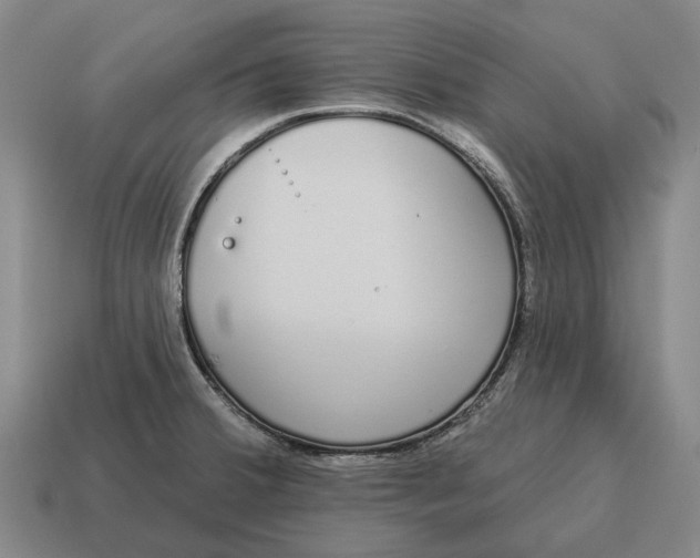 X0000115111380200911101556