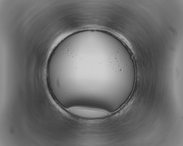 X0000115111381200911101556