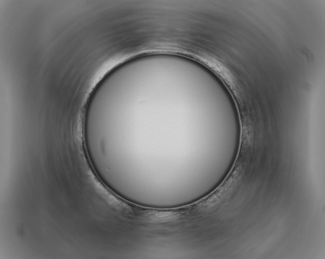 X0000115111382200911101556