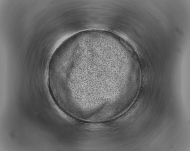 X0000115111383200911101556