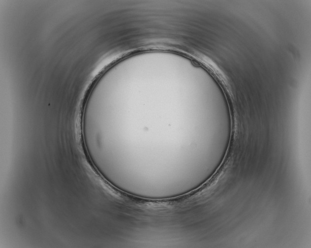 X0000115111384200911101556